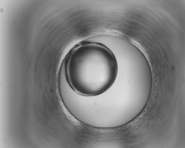 X0000086931152200704231324