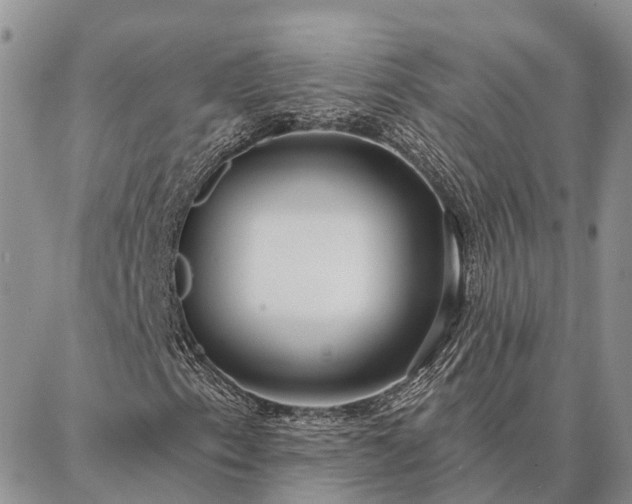 X0000086931153200704231323