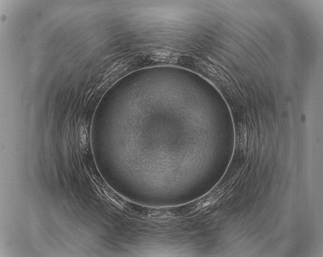 X0000086931154200704231323