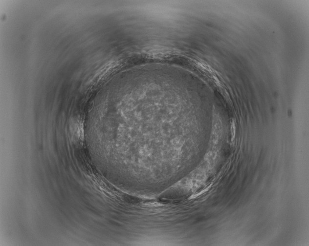 X0000086931155200704231323