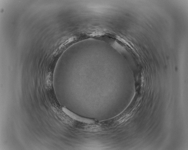 X0000086931156200704231323