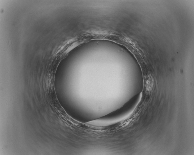 X0000086931157200704231323