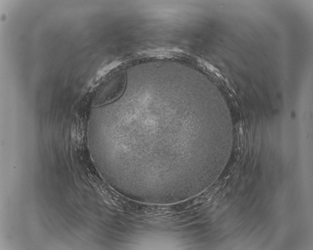 X0000086931158200704231323