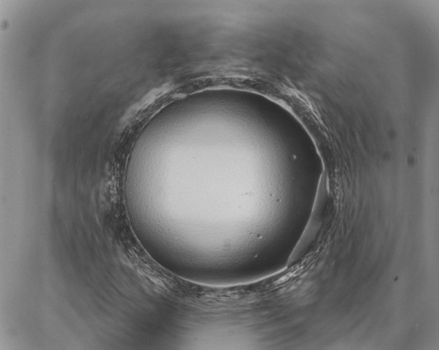 X0000086931159200704231323