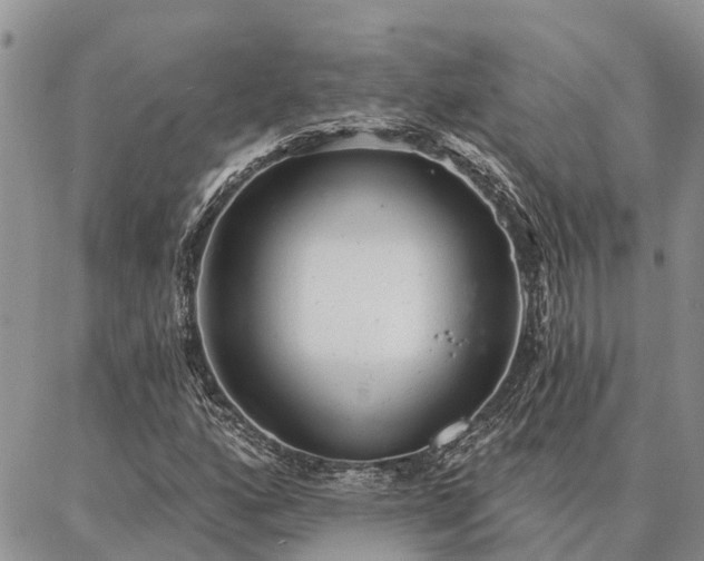 X0000086931160200704231323