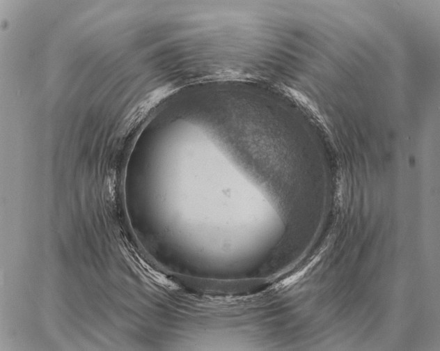 X0000086931161200704231323