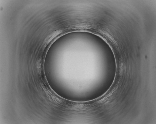 X0000086931162200704231323