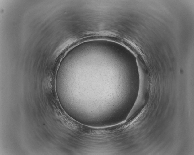 X0000086931163200704231323