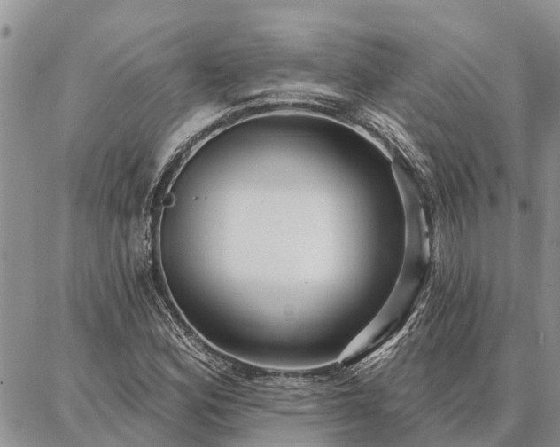 X0000086931164200704231323