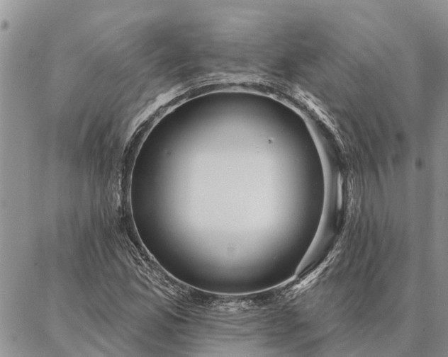 X0000086931165200704231323