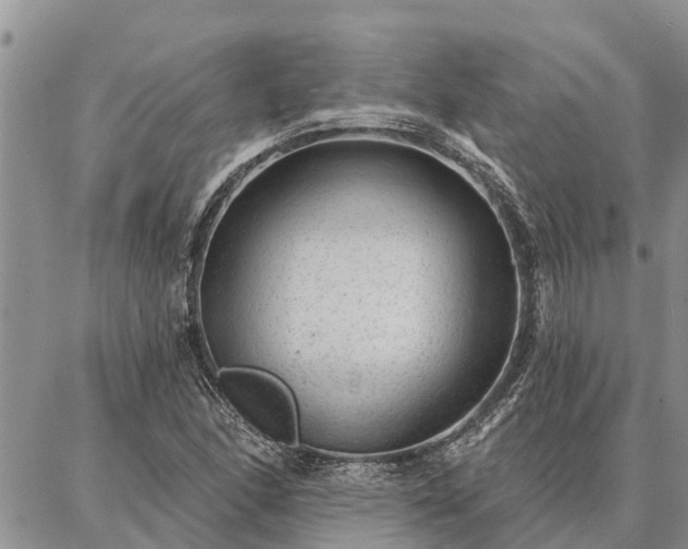 X0000086931166200704231323