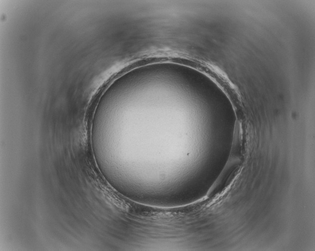 X0000086931167200704231323