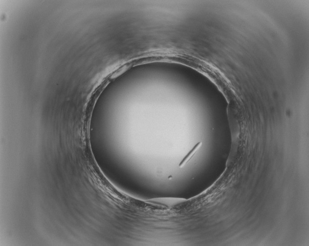 X0000086931168200704231323