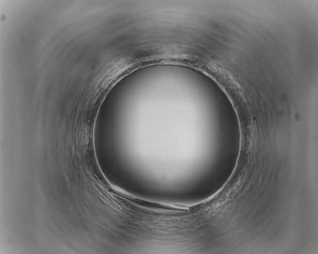 X0000086931169200704231323