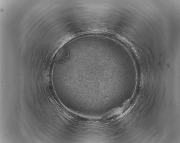 X0000086931170200704231323