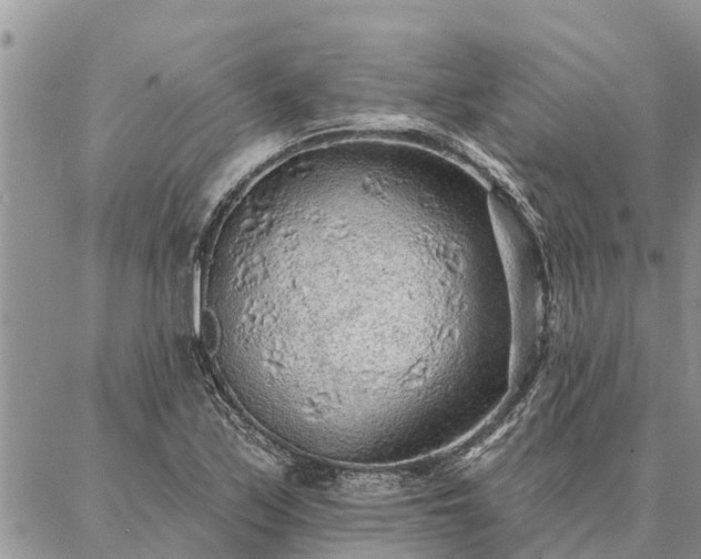 X0000086931171200704231323