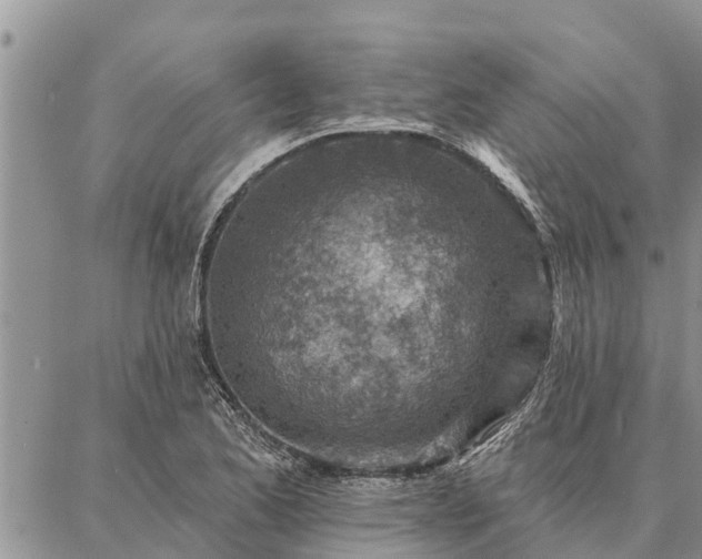 X0000086931173200704231323