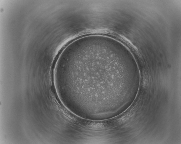 X0000086931174200704231323