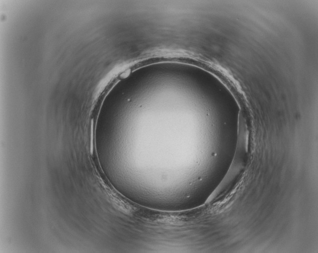 X0000086931175200704231323