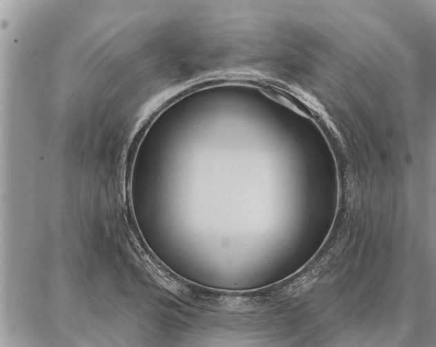 X0000086931176200704231323