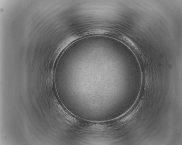 X0000086931178200704231323