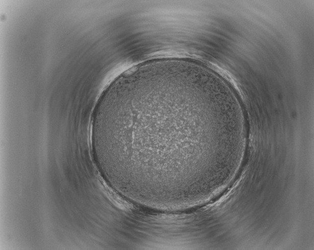 X0000086931179200704231323