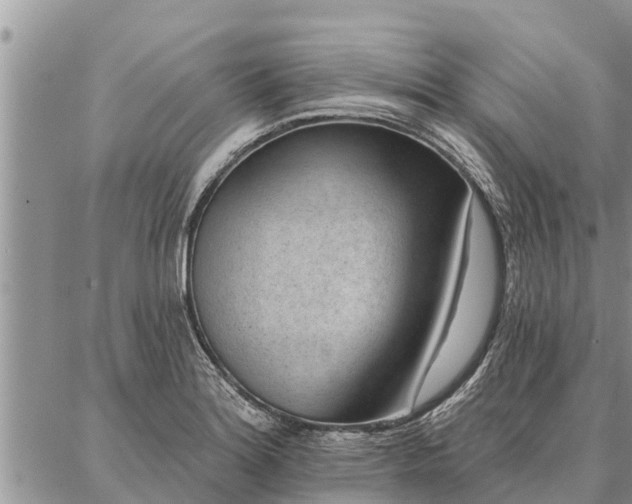 X0000086931180200704231323