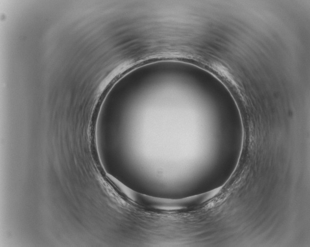 X0000086931181200704231323