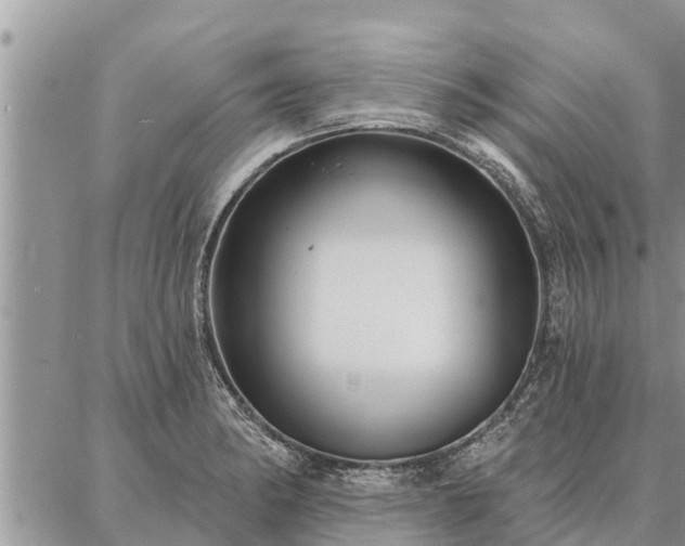 X0000086931182200704231323