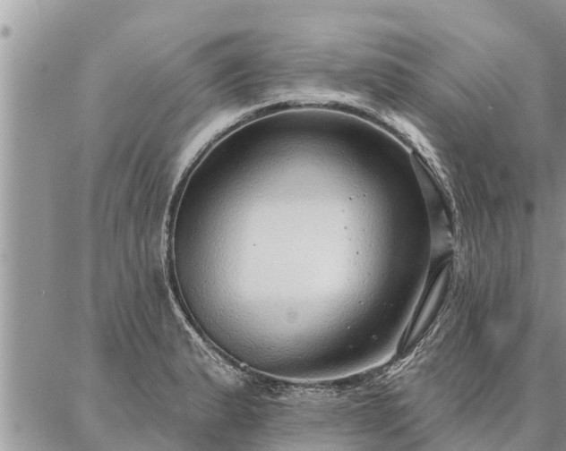 X0000086931183200704231323