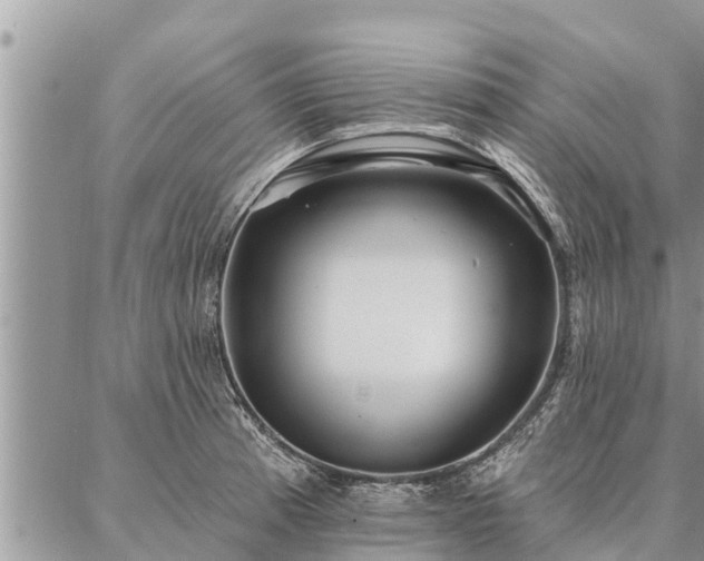 X0000086931185200704231323