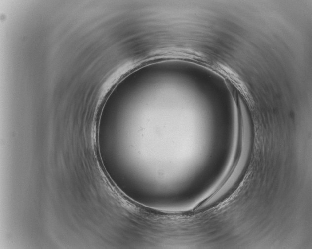 X0000086931188200704231323