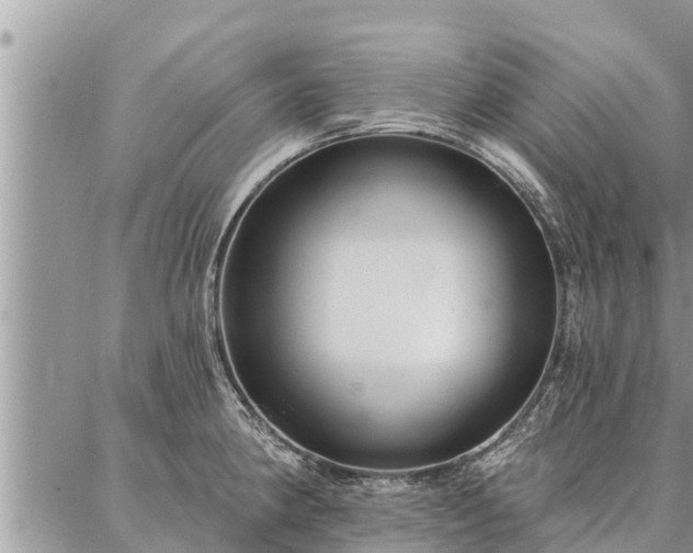 X0000086931190200704231322