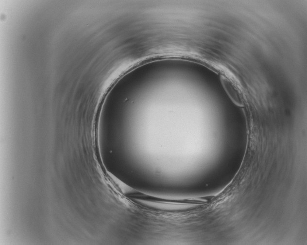 X0000086931191200704231322