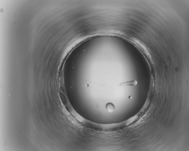 X0000086931192200704231322