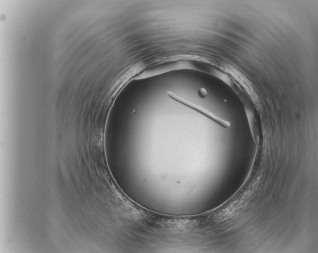 X0000086931193200704231322