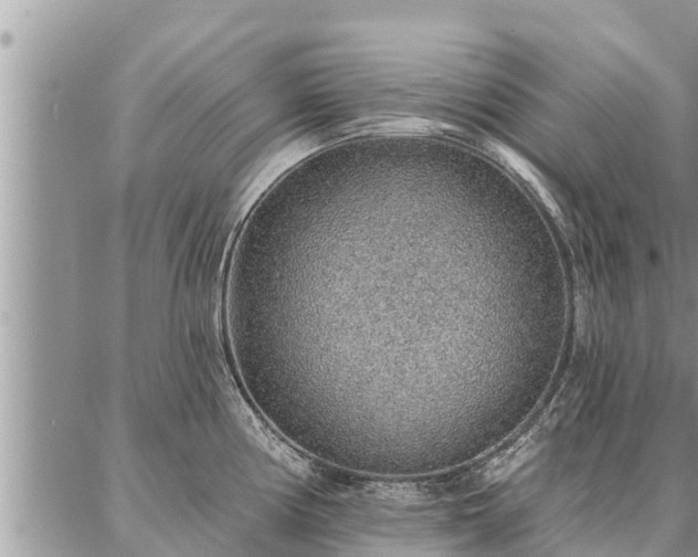 X0000086931194200704231322