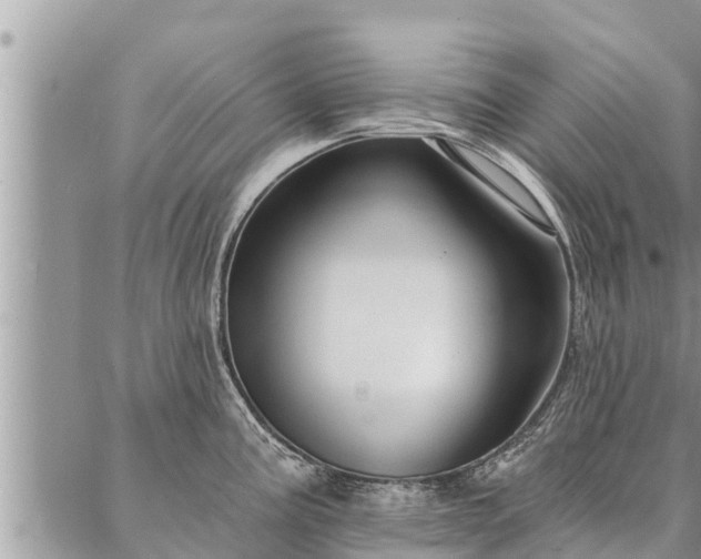 X0000086931195200704231322