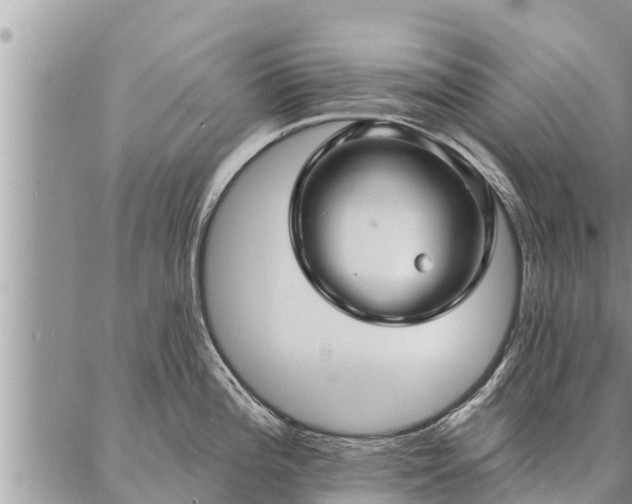 X0000086931196200704231322