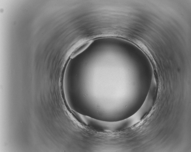 X0000086931197200704231322