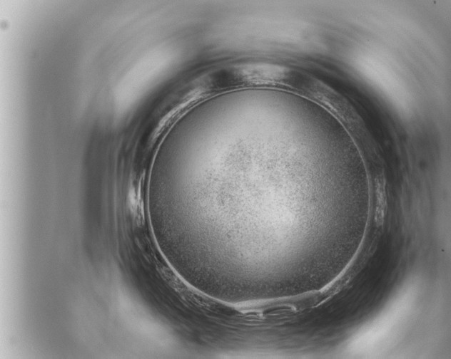 X0000086931198200704231322