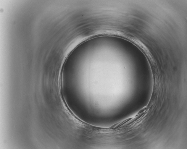 X0000086931199200704231322