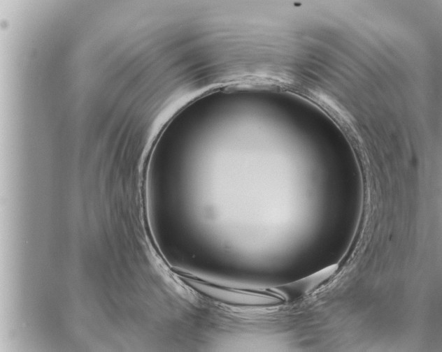 X0000086931200200704231322