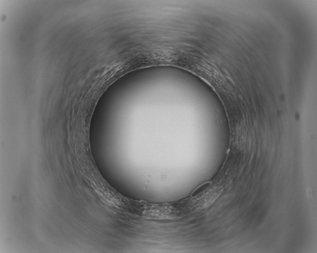 X0000086931201200704231322