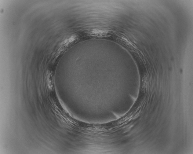 X0000086931202200704231322