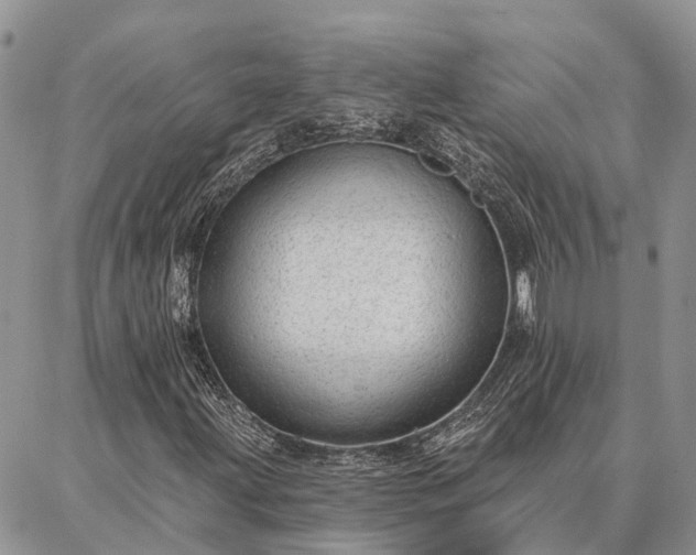 X0000086931203200704231322