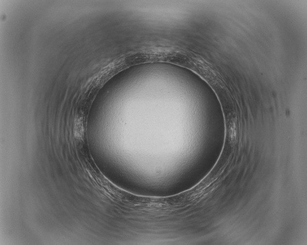 X0000086931204200704231322