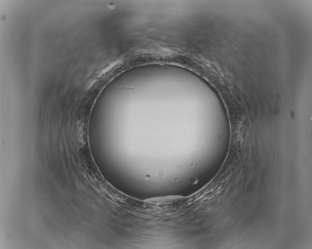 X0000086931205200704231322