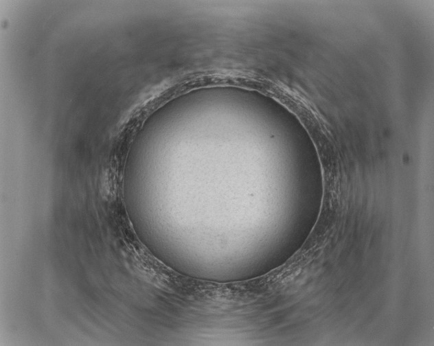 X0000086931207200704231322