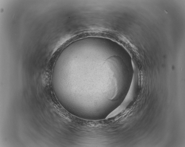 X0000086931208200704231322